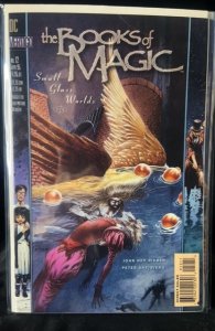 The Books of Magic #12 (1995)