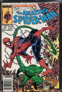 The Amazing Spider-Man #318 (1989) Spider-Man