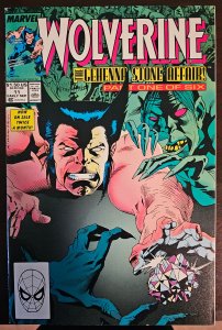 Wolverine #11 (1989)