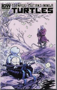 Teenage Mutant Ninja Turtles #31 (2014) [Key Issue]