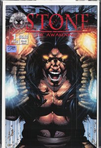 Stone #1 (1998) Stone