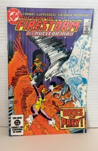 The Fury of Firestorm #27 (1984)