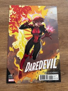 Daredevil # 19 NM Marvel Comic Book Variant Cover 6 J284
