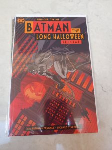 Batman: The Long Halloween Special TB