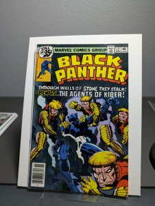 Black Panther #12 (1978) Black Panther