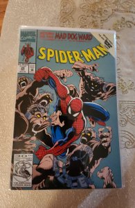 Spider-Man #29 (1992)