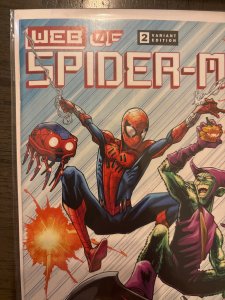W.E.B. of Spider-Man #2 Variant Cover (2021)