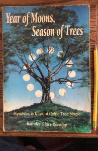Year of moons, season of trees, Celtic tree magic, 1991, 242p,h2o marks/name