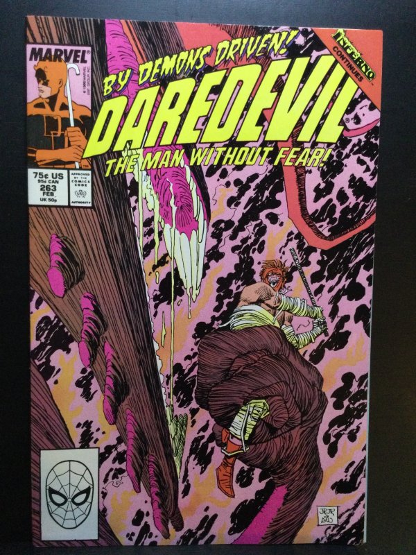 Daredevil #263 (1989)