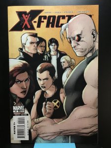 X-Factor #20 (2007)