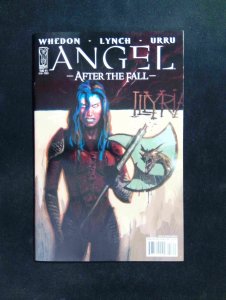 Angel After the Fall #3B  IDW Comics 2007 NM  Robinson Variant