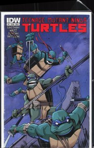 Teenage Mutant Ninja Turtles #11 (2012)