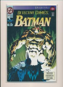 DC Lot of 2-DETECTIVE COMICS KNIGHTFALL #665 & 666 VF/NM  (PF776) 