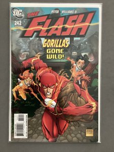 The Flash #242 (2008)