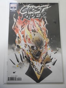 Ghost Rider #2 Variant Edition