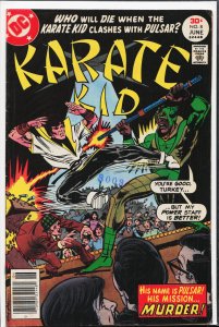 Karate Kid #8 (1977) Karate Kid