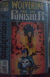 Wolverine and the Punisher: Damaging Evidence #2 (1993) Punisher 