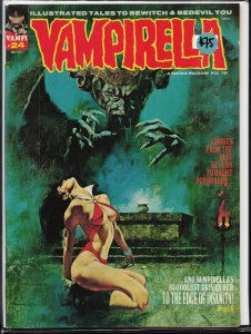 Vampirella #24 (1973) Vampirella