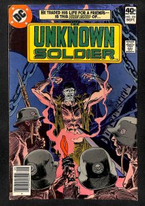 Unknown Soldier #231 (1979)