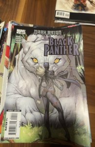 Black Panther #4 (2009) Black Panther 