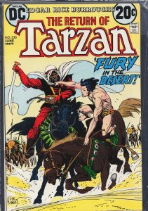 Edgar Rice Burroughs' Tarzan #220 (1973)