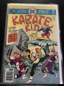 Karate Kid #2 (1976)