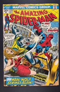 The Amazing Spider-Man #125 (1973) DAMAGED