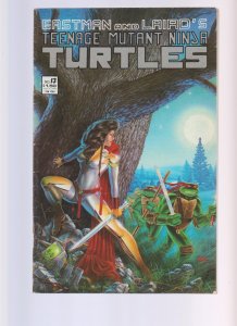 Teenage Mutant Ninja Turtles #13 (1988)