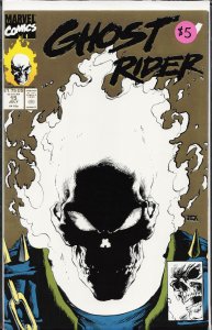 Ghost Rider #15 Second Print Cover (1991) Ghost Rider