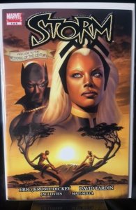 Storm #1 (2006)