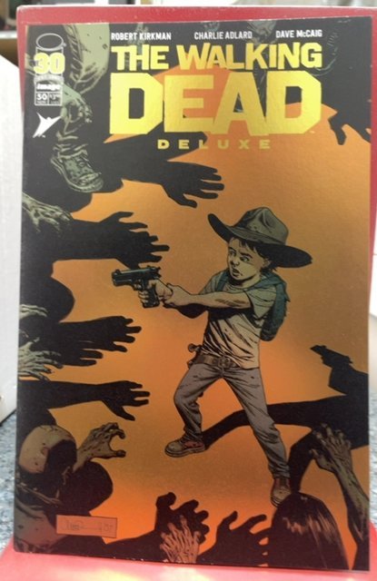 The Walking Dead Deluxe #50 Cover B (2022)