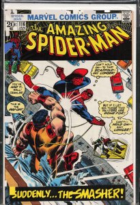 The Amazing Spider-Man #116 (1973) Spider-Man