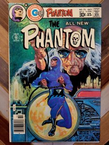 The Phantom #73 FN/VF 7.0 (Charlton Comics 1976) Don Newton Cover The Torch!
