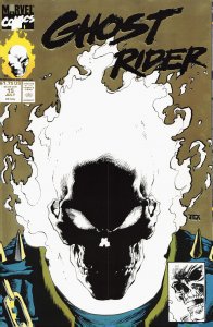 Ghost Rider #15 Second Print Cover (1991) Ghost Rider
