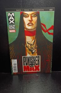 PunisherMAX #20 (2012)