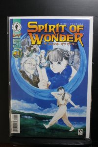 Spirit of Wonder #1 (1996)