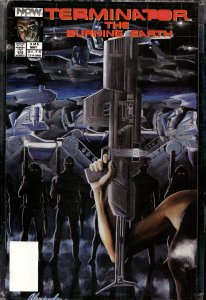 The Terminator: The Burning Earth #3 (1990) The Terminator