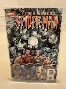 Peter Parker: Spider-Man #50  2003  9.0 (our highest grade)