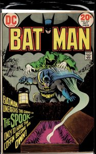 Batman #252 (1973) Batman
