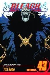 Bleach Vol 43 Viz Media LLC 2012 GN