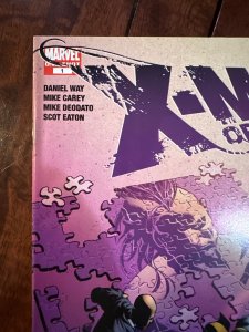 X-Men: Original Sin (2008)