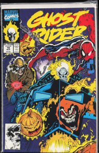 Ghost Rider #16 (1991) Ghost Rider