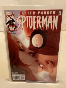 Peter Parker: Spider-Man #29  2001  9.0 (our highest grade)