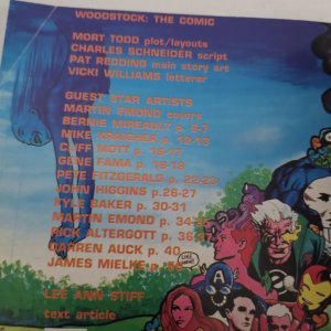 1994 Woodstock Mort Todd Fine- Marvel Music