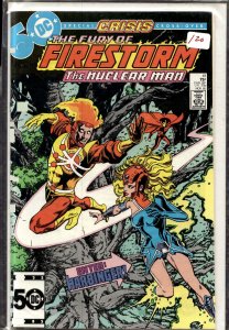 The Fury of Firestorm #41 (1985) Firestorm