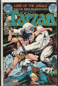 Edgar Rice Burroughs' Tarzan #227 (1974)