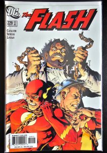 The Flash #229 (2006)