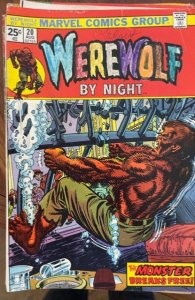 Werewolf by Night #20 (1974) Werewolf by Night 