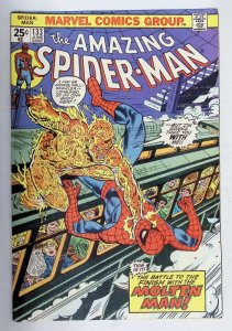 The Amazing Spider-Man #133 (1974) Spider-Man