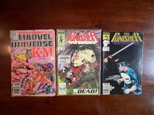 3 Marvel Comic Books Punisher # 9 16 + Universe # 6 Hulk Thor Iron Man 64 J817